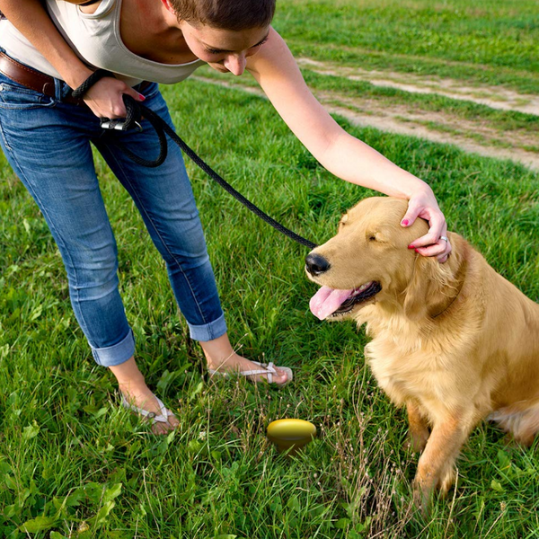 Simple Solution Pee Post Yard Stake