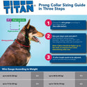 Herm Sprenger Titan Prong Training Collar For Dogs