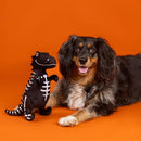 PetShop by Fringe Studio Trick Rawr Treat Plush Toy For Dogs