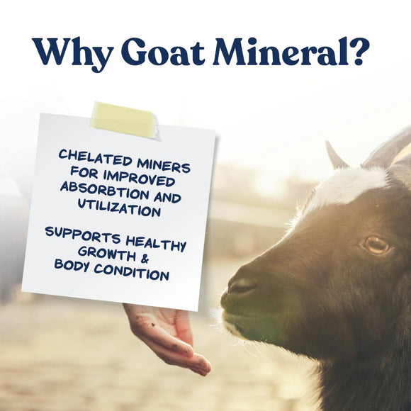 Manna Pro Mineral For Goat (8 lb)