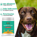 MYOS Canine Muscle & Joint Formula with Green Lipid Mussel - 396 g (120 servings)