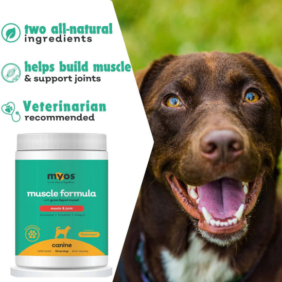 MYOS Canine Muscle & Joint Formula with Green Lipid Mussel - 396 g (120 servings)