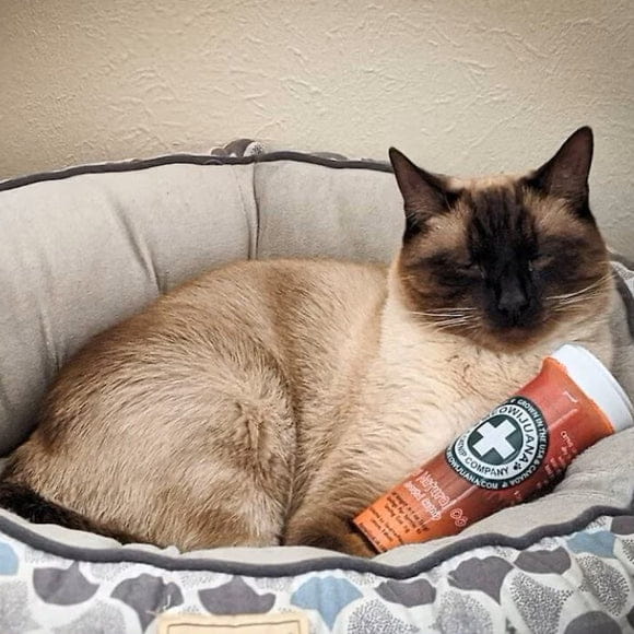 Meowijuana OG Catnip
