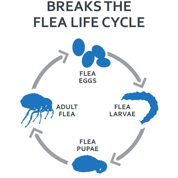 Sentry Fiproguard Plus Topical Flea & Tick Treatment for Dogs 23-44 lbs (3 doses)