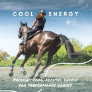 Manna Pro Cool Calories 100 Dry Fat Supplement for Horses (8 lb)