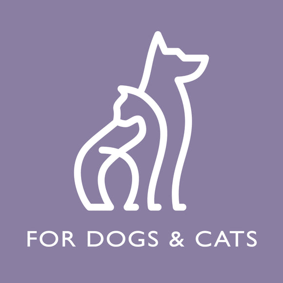 SPA by TropiClean Lavish White Coat Shampoo for Pets (16oz)