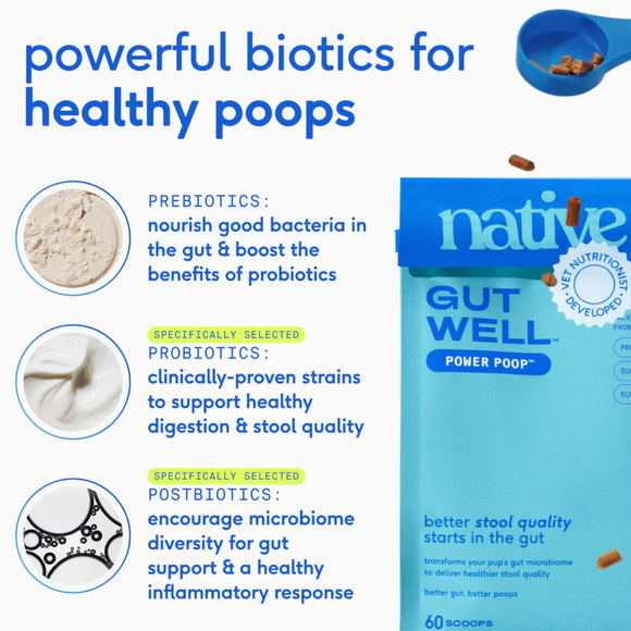 Native Pet Gutwell Power Poop, Digestion Support Supplement for Dogs (60 scoops)
