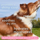 Native Pet Skin + Coat Healthy Skin Chews for Dogs