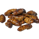 Zoo Med Can O' Silkworms Reptile Food & Treat (1.2 oz)