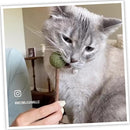 Meowijuana Lollies Silvervine Sticks with Catnip for Cats (3 ct)