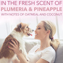 SPA by TropiClean Lavish Pure Shampoo for Pets (16oz)