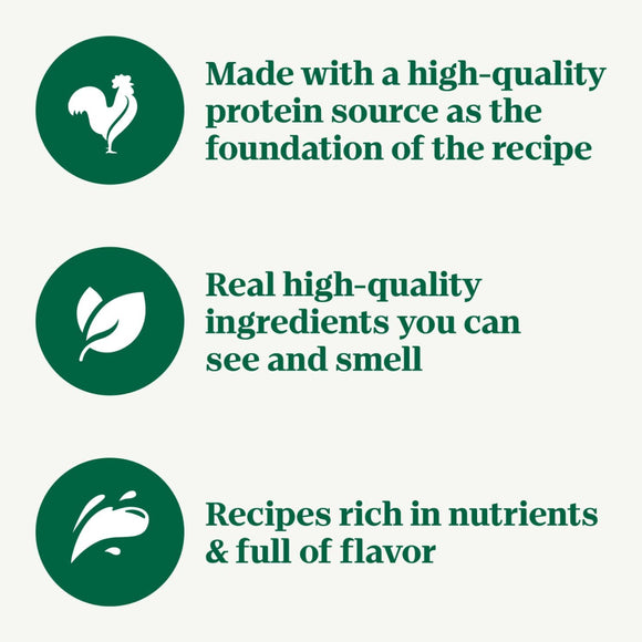 Nutro Crunchy Biscuits with Real Mixed Berries Treats For Dog