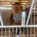 Banixx Premium Analgesic Liniment Spray for Horses (13.2 oz)