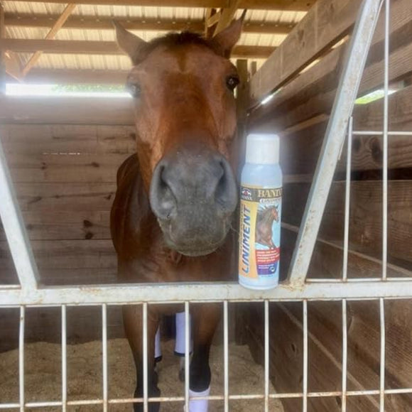 Banixx Premium Analgesic Liniment Spray for Horses (13.2 oz)