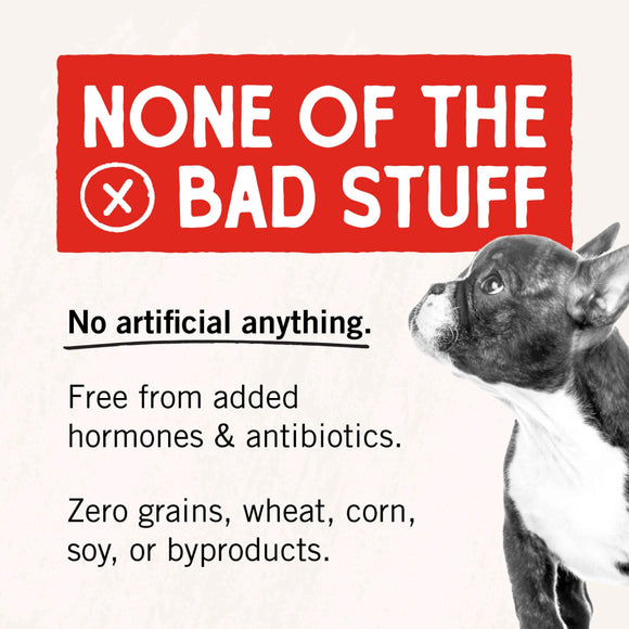 Stella & Chewy's Freeze-Dried Lamb Liver Treats For Dog (3 oz)