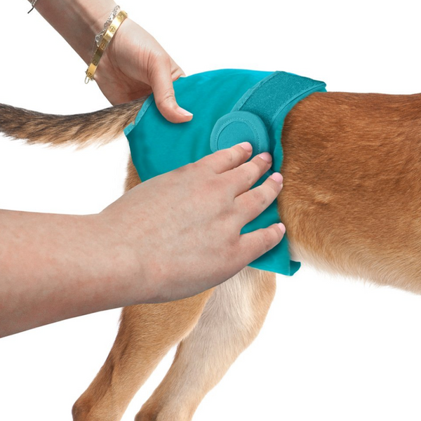 Simple Solution Washable Female Dog Diaper for Large Dogs