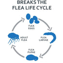 Sentry Fiproguard Plus Topical Flea & Tick Treatment for Cats over 1.5 lbs (3 doses)