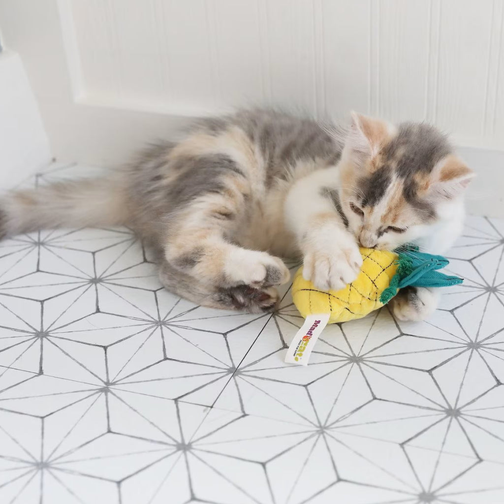 Mad Cat Purrfect Pineapple w/Catnip & Silvervine Toy For Cat