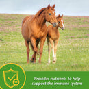 Farnam Grow Colt Growth & Development Supplement