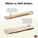 Redbarn Half Elk Antler Dog Chew