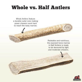 Redbarn Half Elk Antler Dog Chew