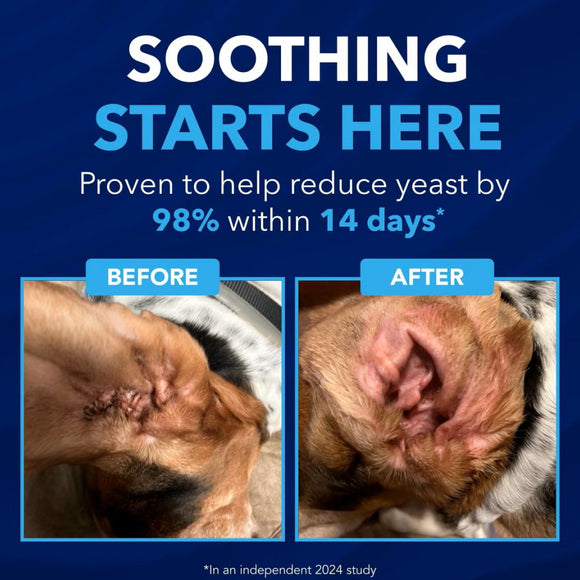 TropiClean OxyMed Enzymatic Ear Cleaner (4 oz)