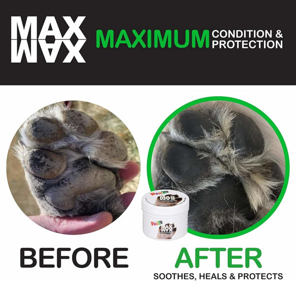 Pawz Max Wax Paw Protector For Dog (60g)