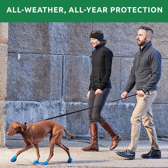 Pawz Boots For Dog (Tiny)