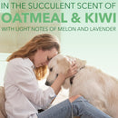 SPA by TropiClean Lavish Comfort Shampoo for Pets (16oz)