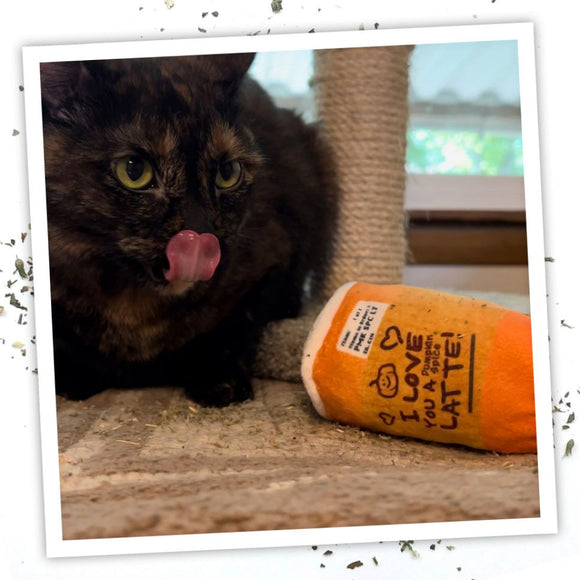Meowijuana "Get Spooked" - Spiced Latte Fillable Catnip Toy For Cat
