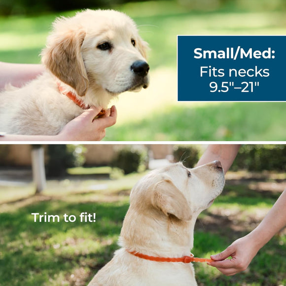 Wondercide Natural Flea (Tick & Mosquito Repellent Collar) for Dogs (1 ct)