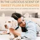 SPA by TropiClean Lavish Renew Cologne Spray for Pets (8oz)