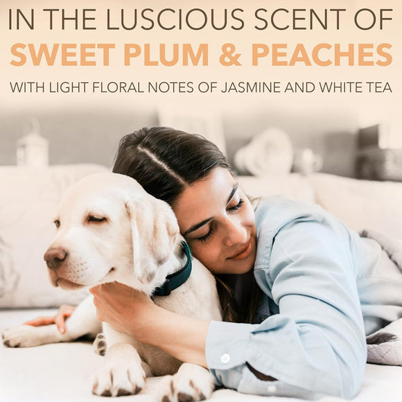 SPA by TropiClean Lavish Renew Cologne Spray for Pets (8oz)