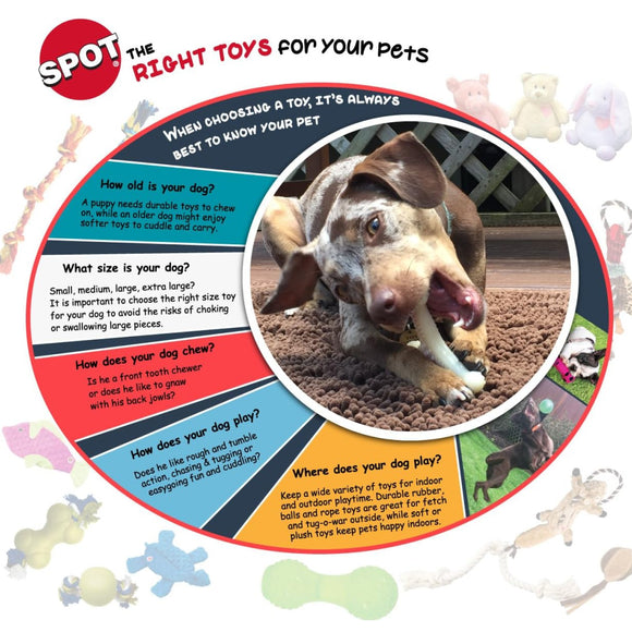 Ethical Pet Skinneeez Plush Stuffing-Free Chicken Toy for Dogs, Mini 13"