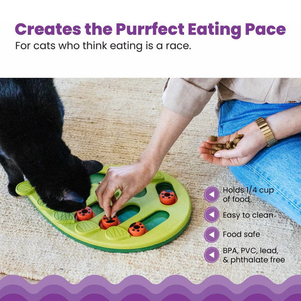 Outward Hound Nina Ottosson  Buggin' Out Puzzle & Play Interactive Treat Puzzle For Cat