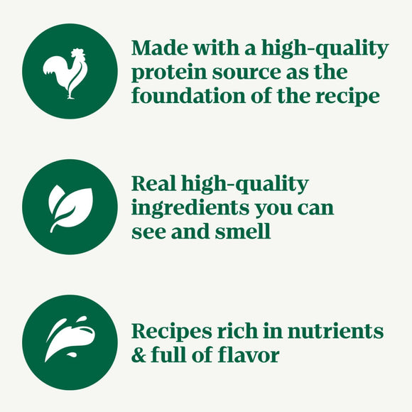 Nutro Crunchy Biscuits with Real Apple Treats For Dog