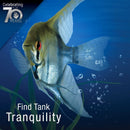 Tetra Whisper Aquarium Non-UL Air Pump