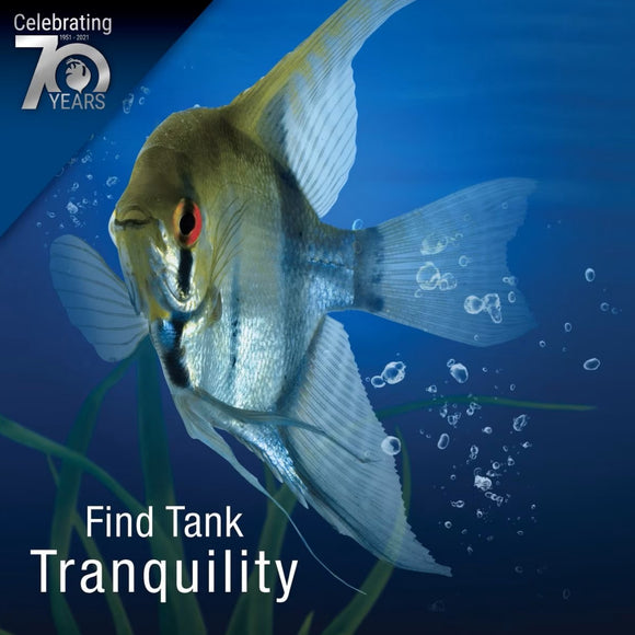 Tetra Whisper Aquarium Non-UL Air Pump