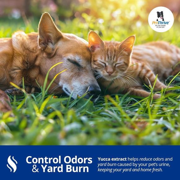 ProThrive Spunky Probiotics (Digestive Enzymes & Joint Support Supplement) for Dogs