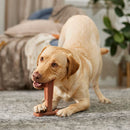 Ethical Bambone Plus Beef Toy For Dog (7")