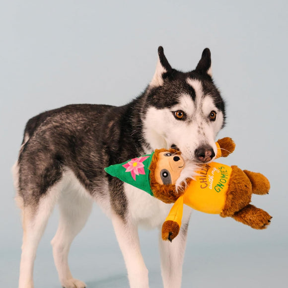PetShop by Fringe Studio Chillin' With My Gnomies Sloth Plush Toy For Dog