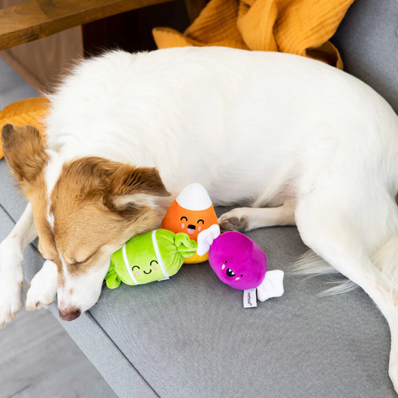 Pearhead Trick Or Treat Toys For Dog (3 pack)