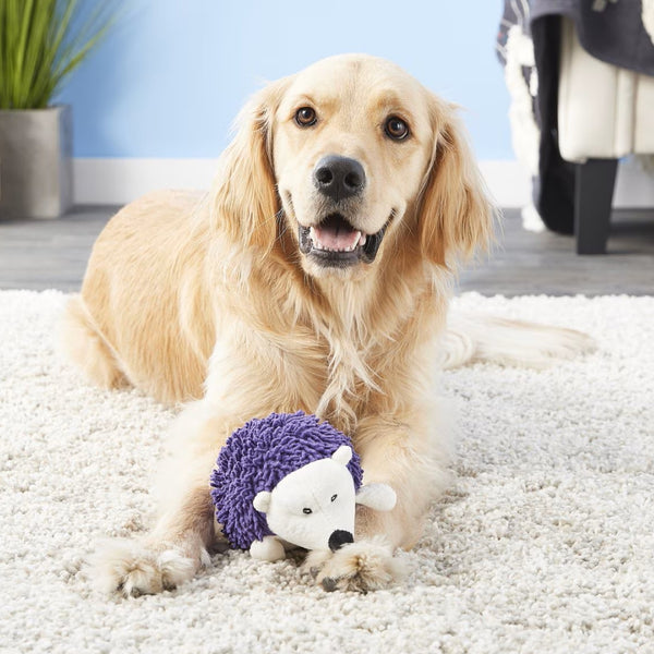 Ethical Giggler Plush Hedgehog Assorted Toy For Dog (6.5")