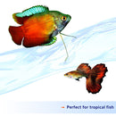 Aqueon Nutrinsect Tropical Flakes (1.59 oz)