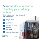 ZENIFEL Calming Pheromone Spray for Cats (2 oz)