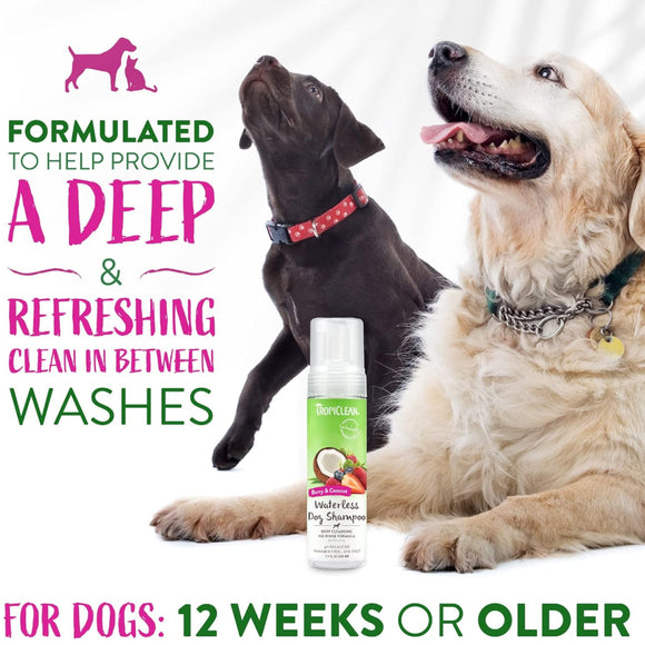 TropiClean Deep Cleansing Waterless Dog Shampoo (7.4oz)