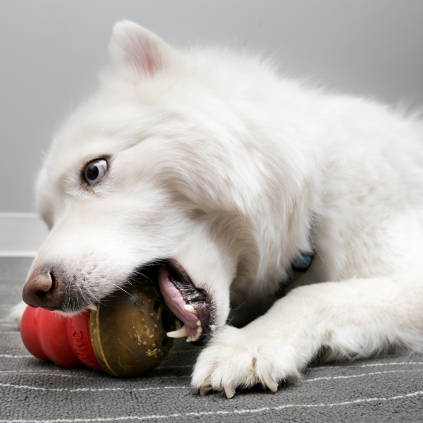 Kong Chicken Marathon Treats For Dog (2 large chews)