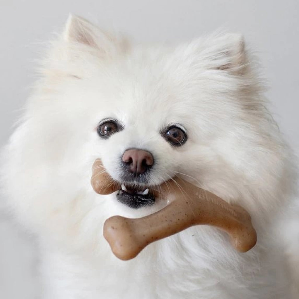 Benebone Peanut Butter Flavor Wishbone Durable Chew Toy for Dogs