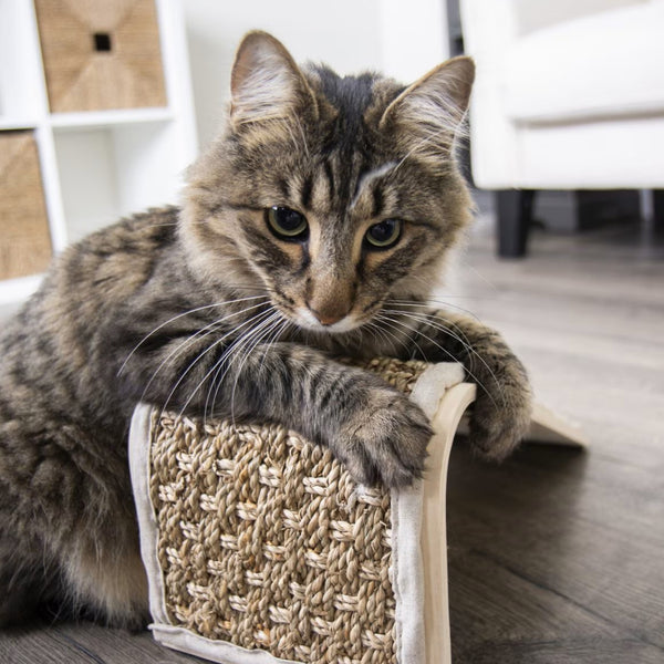 Petlinks Sea Ramp Floor Scratching Ramp With Catnip For Cats