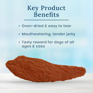 Blue Buffalo True Chews Premium Jerky Cuts Steak Jerky Treats For Dog (10 oz)